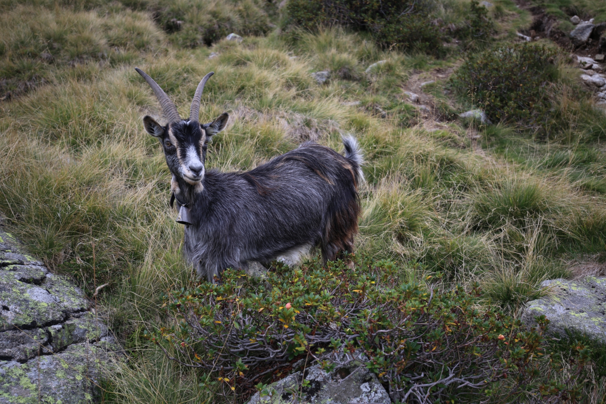 Mountains. Hiking. Learning.<br />22. September - 4. October 2019